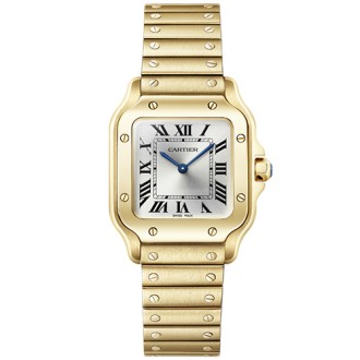 Santos Petit Modèle © Cartier
